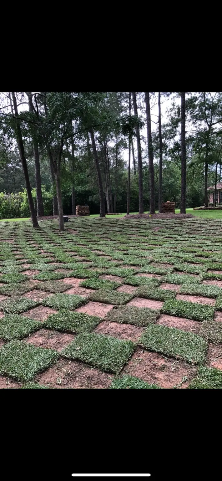 Artificial Turf & Sod Installation in The Woodlands TX by FM Landscaping and Hardscape